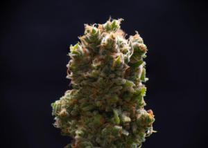 order cannabis online