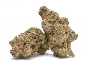 jelly runtz yelo rx dispensary near me