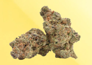 jelly runtz strain review yelo rx